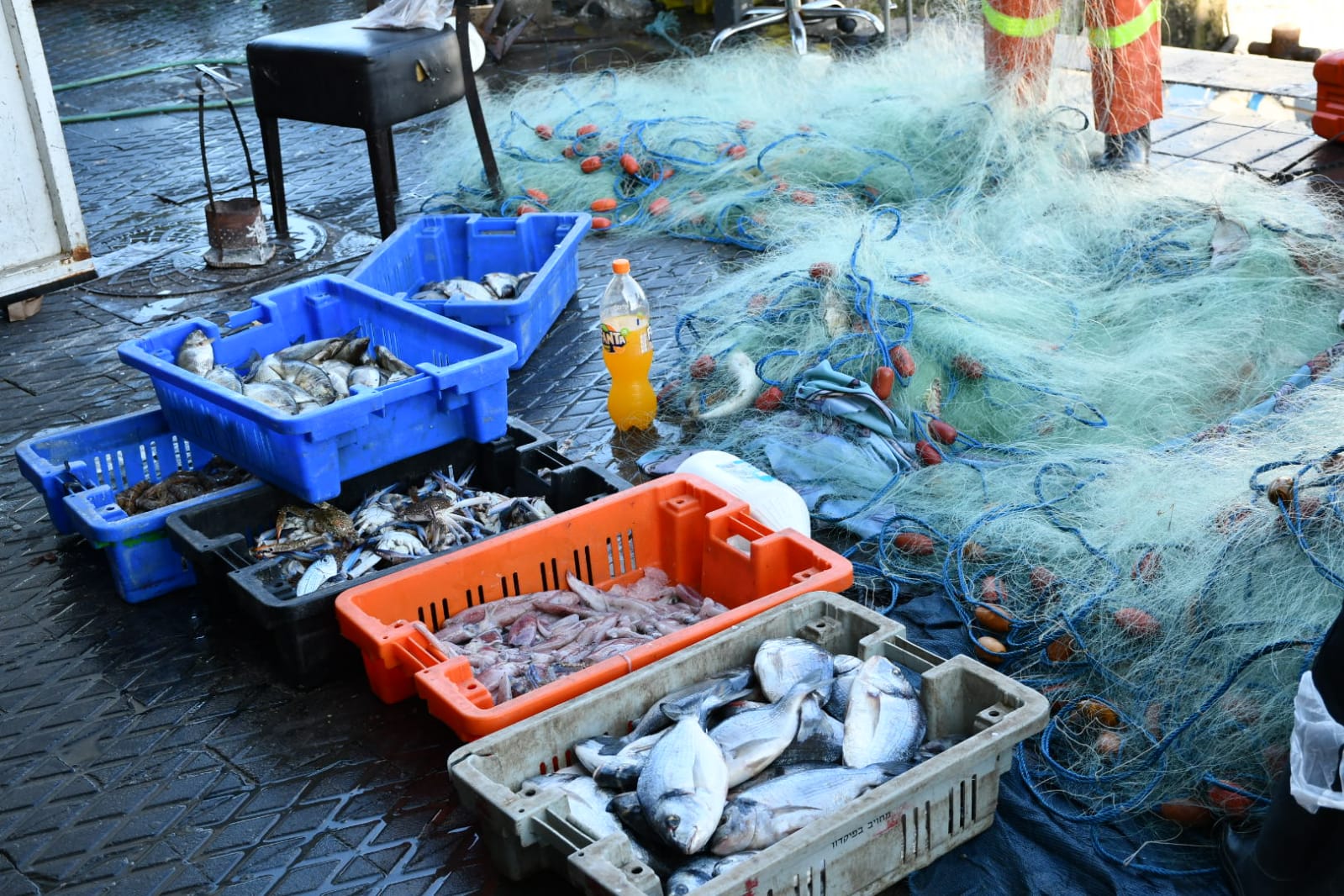 WhatsApp Image 2020-11-23 at 8.36.20 AM.jpeg.jpeg